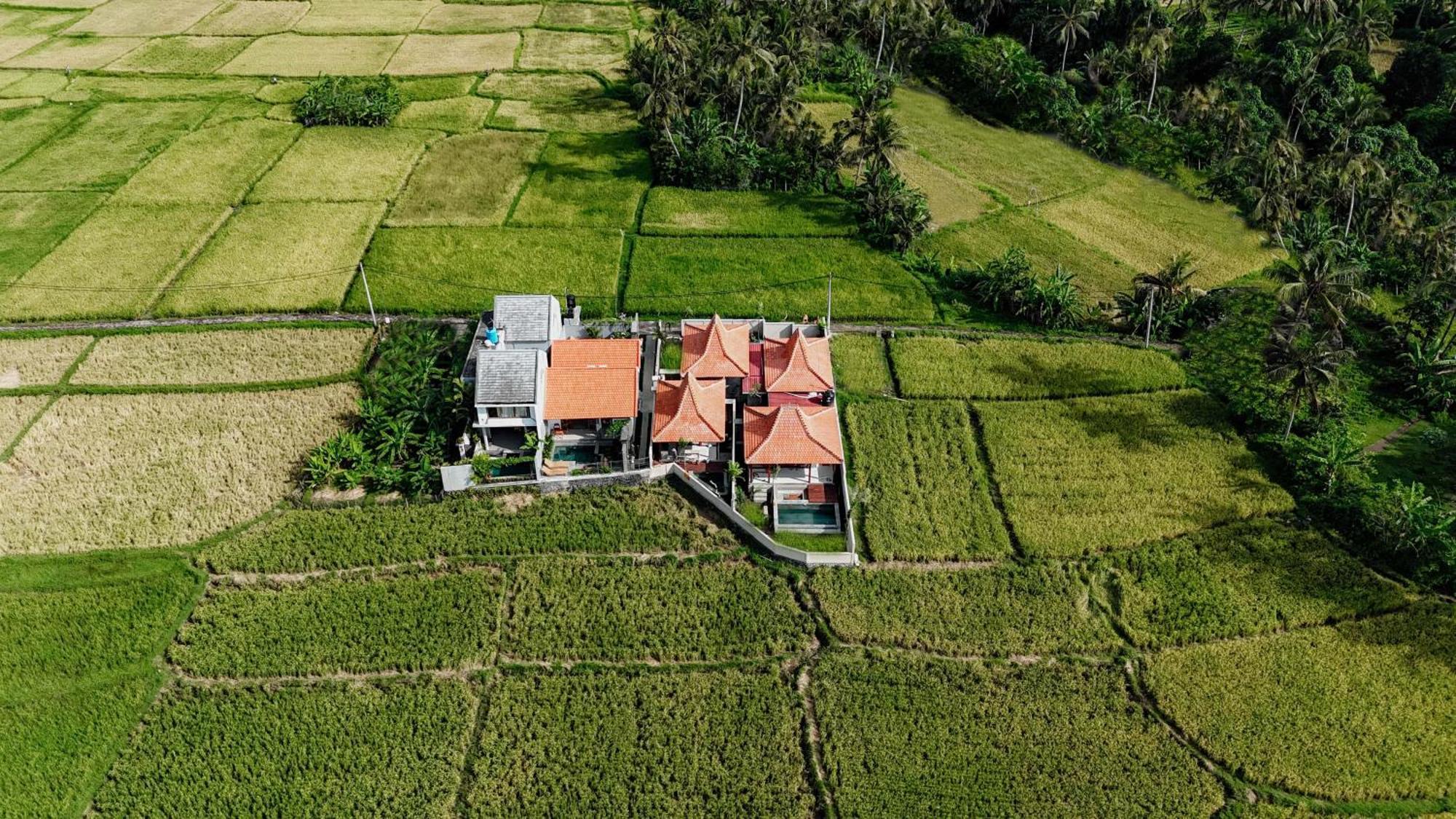 Weda Villas Ubud  Ngoại thất bức ảnh