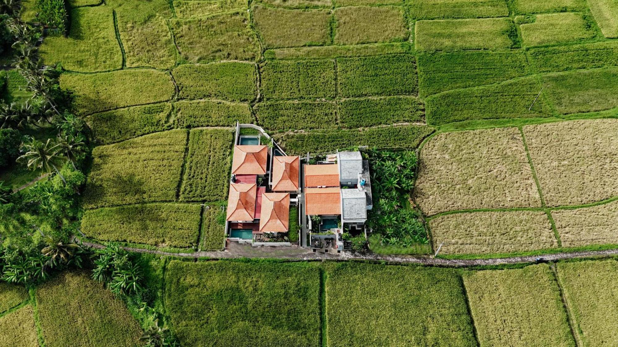 Weda Villas Ubud  Ngoại thất bức ảnh